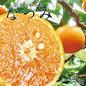 yӂ邳Ɣ[Łz Ă݂̂ Ȃ5kgy\z2026N4{`2026N4{ɏ\(͂ws)