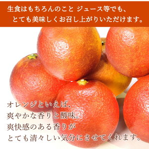 yӂ邳Ɣ[Łz 󏭂Ȋk!IBLcYubhIW3kg yƒpz2026N3{`3{ɏ (͂ws)