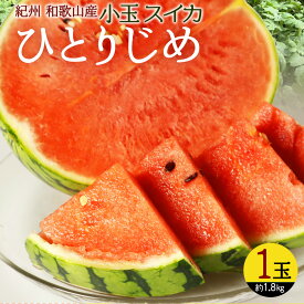 【ふるさと納税】 紀州和歌山産小玉スイカ「ひとりじめ」1玉【予約】※2026年6月上旬頃～7月上旬頃に順次発送予定(お届け日指定不可) スイカ すいか 果物