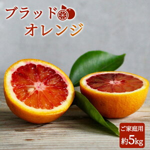 yӂ邳Ɣ[Łz󏭂Ȋk!IBLcYubhIW5kg yƒpz2026N3{`3{ɏ (͂ws)