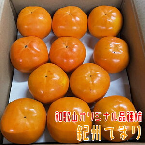 【ふるさと納税】紀州てまり 22〜32玉 【和歌山オリジナル品種柿】 2025年11月上旬〜11月下旬頃発送予定