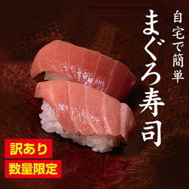 楽天市場 お寿司 キットの通販