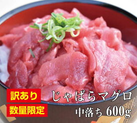 楽天市場 マグロ 産地 都道府県 和歌山 マグロの種 しゅ 本マグロ 魚介類 水産加工品 食品 の通販