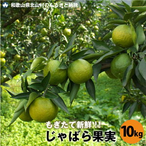 yӂ邳Ɣ[Łz yԌzGߌ̃tbVȖ킢΂ʎi10Lj2025N11{菇\A͂ws