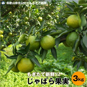 yӂ邳Ɣ[Łz yԌzGߌ̃tbVȖ킢΂ʎi3Lj2025N11{菇\A͂ws