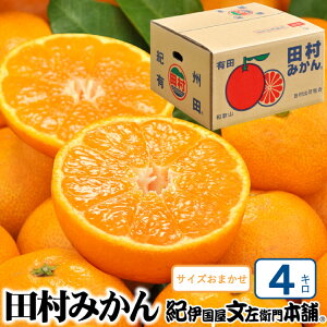 yӂ邳Ɣ[Łz c݂ Gi 4kg TCY܂/IBa̎RLcS󒬓cnY 2025N11{`2026N1{ɏ(͂ws) Iɍq{