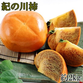 【ふるさと納税】【希少】紀の川柿約1.8～2kg（種無し）秀選品 ※2024年10月中旬～2024年11月中旬頃に順次発送（お届け日指定不可）