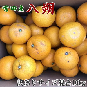 yӂ邳Ɣ[Łz yIʁE󂠂zLcY̔10kgiTCYj2026N1{`2026N2{ɏ\聄(͂ws)