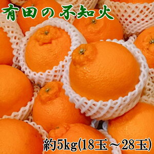 yӂ邳Ɣ[Łz yZzLc̕smΖ5kgi18ʁ`28ʂ܂j2026N2{`2026N4{ɏ(͂ws)
