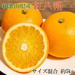 yӂ邳Ɣ[Łz y2026Ns\zy󏭕iza̎RYg5kgiTCYj2026N1{`2026N2{