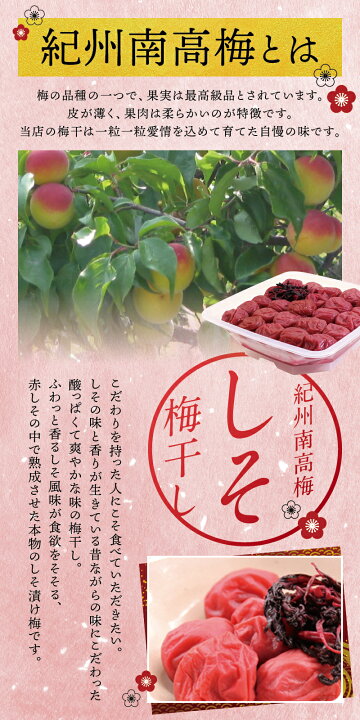 楽天市場】【ふるさと納税】 梅干し 梅干 最高級 紀州南高梅 大粒 しそ 