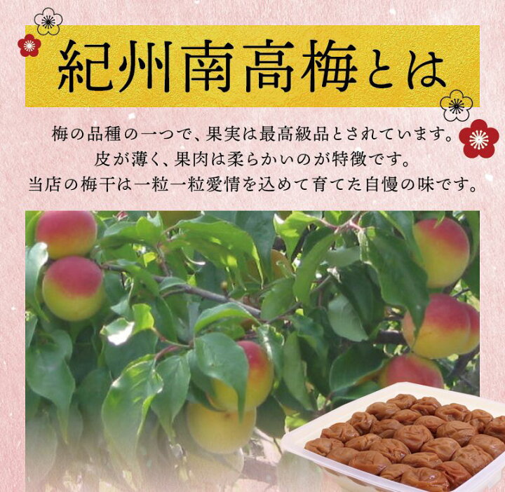 楽天市場】【ふるさと納税】 梅干し 梅干 最高級 紀州南高梅 大粒 食べ 