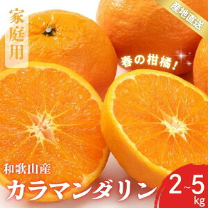 yӂ邳Ɣ[Łz ys\z󂠂 ƒp J}_ t݂̂ a̎R Lc S`2LTCY 傫C 2kg / 3kg / 5kg Iׂeʁy2025N4{`5{܂łɏ\z/ ݂