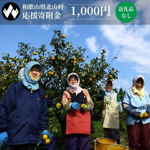 yӂ邳Ɣ[ŁzyyVzԗiȂ kR 񕍋 1000~ / 1000 1000~ 1000~ۂ 񕍂̂ ԗiȂ kRӂ邳Ɣ[ a̎Rӂ邳Ɣ[