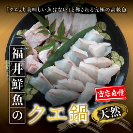 【ふるさと納税】 【先行予約】幻のクエ！国産 天然クエ鍋 500g / くえ くえ鍋 セット 串本 お取り寄せ ご当地グルメ 食品 海鮮 魚 魚貝類 魚介類 特産品 さしみ お刺身