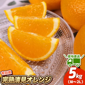 【ふるさと納税】 先行予約 ＼ みかんの名産地 和歌山県産／ 農家直送 完熟清見オレンジ 5kg (M〜2Lサイズおまかせ) ひとつひとつ手選別で厳選【2026年3月中旬〜4月下旬ごろに順次発送予定】【hdm003A】