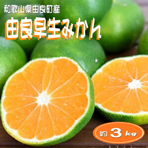 yӂ邳Ɣ[Łz ys\za̎RRǒY RǑ݂ 3kg 󂠂 LY ƒp TCY