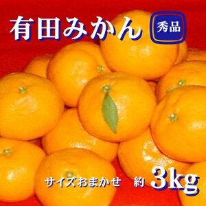 【ふるさと納税】 紀州 有田みかん 秀品 3kg(L・M・Sサイズおまかせ) 温州みかん ミカン 蜜柑 柑橘 フルーツ ※2025年11月下旬〜2026年1月中旬頃順次発送予定