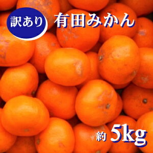yӂ邳Ɣ[Łz IB Lc݂ 󂠂 5kg ƒp TCY B݂ ~J  k t[c 2025N11{`2026N1{\ kCEEzs