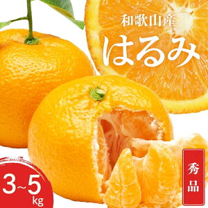 yӂ邳Ɣ[Łz ys\zGi ͂ a̎R Lc S`2LTCY 傫C 3kg / 5kg y1{`3{܂łɏ\z / ݂ t[c ʕ   k