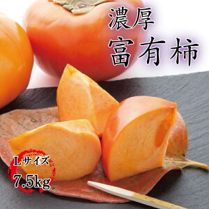 yӂ邳Ɣ[Łz yH̔zya̎RuhzZIxL`@Gi@2L`4LTCY 7.5kg 2025N11{`12{\