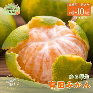 yӂ邳Ɣ[Łz yH̔zy2025N10{`10{\zLc炿̂ƒp󂠂瑁Lc݂ 1kg`10kgyTCYzIׂe