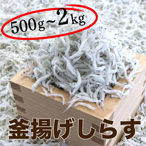 yӂ邳Ɣ[Łz 炷 Iׂe 500g`2kg / VX I ①ցւ̔zs