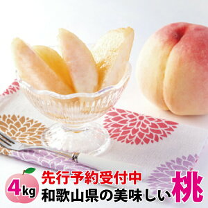 清水白桃 ギフト 食品の人気商品 通販 価格比較 価格 Com