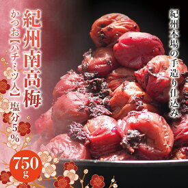 【ふるさと納税】 紀州南高梅 かつお【ハチミツ入】 塩分5%（750g）なかやまさんちの梅干 うめ ウメ 梅干し
