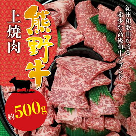 【ふるさと納税】 希少和牛 熊野牛上焼肉 約500g＜冷蔵＞ ( 黒毛和牛 和牛 スライス 肉 お肉 牛肉 特上モモ )