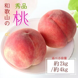 【ふるさと納税】 【産直・人気の特産品】和歌山の桃 約2kg / 約4kg ・秀品 ※2026年6月下旬～2026年8月上旬頃順次発送 / もも モモ フルーツ 果物 くだもの 人気 甘い 和歌山