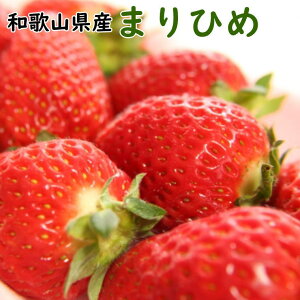 yӂ邳Ɣ[Łza̎RYuhu܂Ђ߁v嗱n300g×2pbN@2025N12{`2026N2{\i͂wsjytec963Az