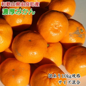 yӂ邳Ɣ[Łzy󂠂Eƒpza̎RRǒŶ݂10kgiTCYj@2025N11{`12{ɔ\i͂wsj