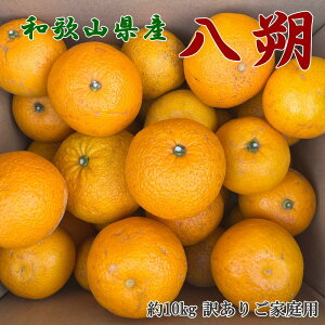 yӂ邳Ɣ[Łzys\zyIʁ@󂠂za̎RRǒY10kg(TCYEƒp)2026N1{`2026N2{i͂wsj