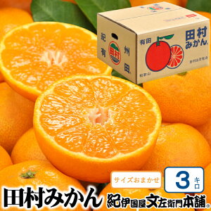 yӂ邳Ɣ[Łz c݂ IMtgi 3kg TCY܂ ԏG/IBa̎RLcS󒬓cnY 2025N11{`2026N1{ɏ(͂ws) Iɍq{