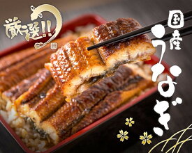 【ふるさと納税】 【大型サイズ】 ふっくら柔らか 国産うなぎ蒲焼き ＜選べる本数＞ 【 1尾 ・ 2尾 ・ 3尾 】 化粧箱入り