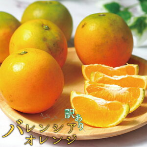 yӂ邳Ɣ[Łz yY 󂠂z oVAIW 7kgyƒpz 2026N6{`7{\(͂ws)
