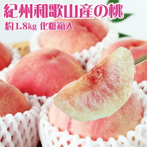 【ふるさと納税】 紀州和歌山産の桃 約1.8kg 化粧箱入 ※2026年6月下旬頃〜2026年8月上旬頃順次発送(お届け日指定不可)