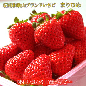 yӂ邳Ɣ[ŁzyV[Ys\z IBa̎Ruhu܂Ђ߁v280g×2P2026N1{`2026N3{i͂wsj