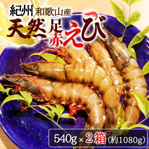 yӂ邳Ɣ[Łz IBa̎RYVRԂ540g×2i270g×4pbNjϔ 22025N11`2026N1{\i͂wsj / CV Gr  N}Gr  VR 