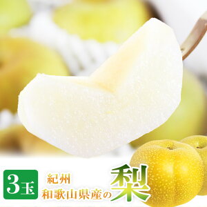 yӂ邳Ɣ[Łz IBa̎RY̗ 3 ϔ 2026N8{`2026N9{ɏ tws  Ȃ iV ʕ  t[c Â