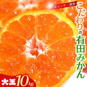 �y�ӂ邳�Ɣ[�Łz �݂��� �L�c�݂��� 10kg ��� 3L�ȏ� / ���� ���k �ʕ� �������� �t���[�c �l�C �{ 10,000�~ �Â� �_�ƒ��� �L�@���엿100%���Z���T�[ �a�̎R�� ���{�� �������� �N������