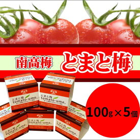 【ふるさと納税】 南高梅 とまと梅 tomato-ume 100g×5個 / 梅干し 梅干 梅