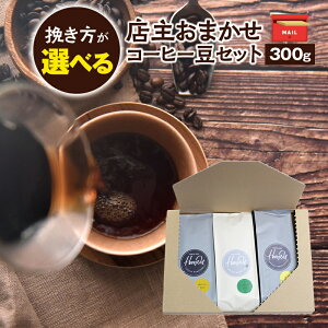 yӂ邳Ɣ[Łz 4ނ̔҂IׂI X储܂ ҂ăR[q[3ރZbg(100g×3ށj R[q[ R[q[ hbv Zbg 