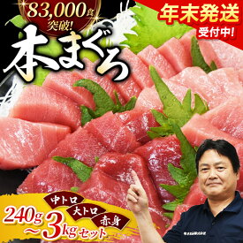 【ふるさと納税】 マグロ 本マグロ 養殖 トロ ＆ 赤身セット クラウドファンディング実施中！ 240g~3kg 【配達指定日不可】 / まぐろ 赤身 トロ 中トロ 大トロ 刺身 さしみ 赤身 冷凍 年末 年内 正月 届く 高級 養殖 人気 高評価 本鮪 魚 海鮮 冷凍 魚介 串本町 送料無料 柵