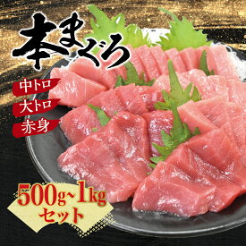 【ふるさと納税】 マグロ 本マグロ 養殖 トロ ＆ 赤身セット 500g or 1kg【配達指定日不可】 / まぐろ 赤身 トロ 中トロ 大トロ 刺身 さしみ まぐろ赤身 冷凍 年末 年内 正月 高級 養殖 人気 高評価 本鮪 魚 海鮮 冷凍 魚介 串本町 送料無料 柵