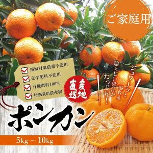 yӂ邳Ɣ[Łz ƃ|J 5kgE10kg MTCY ƒp y1{`2{\zi͂wsj / |J L@엿 ۂ񂩂 t[c ʎ ݂ ~J {  