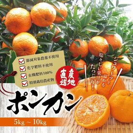 【ふるさと納税】 くしもとポンカン L〜2Lサイズ 5kg・10kg【1月上旬〜2月中旬頃発送予定】 有機肥料 ぽんかん フルーツ 果実 みかん ミカン オレンジ 旬 限定 節減対象農薬不使用 化学肥料不使用