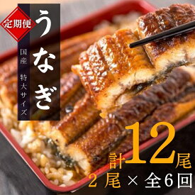 【ふるさと納税】 【全6回定期便】大型サイズ ふっくら柔らか 国産うなぎ蒲焼き 2尾×6回 計12尾 約2040g / うなぎ ウナギ 鰻 国産 蒲焼 蒲焼き たれ 人気 定期便 ふるさと納税