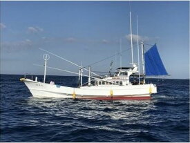 【ふるさと納税】 沖釣り体験【大人1名様 半日コース】